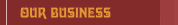 Our Business