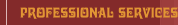 Professional Services
