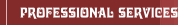 Professional Services